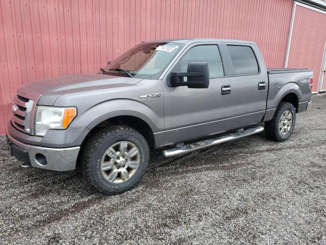 FORD F-150 2009 1ftrw14859fa60491