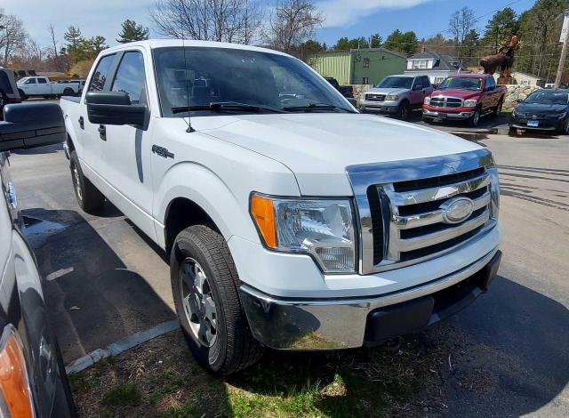 FORD F150 SUPER 2009 1ftrw14859fa87058