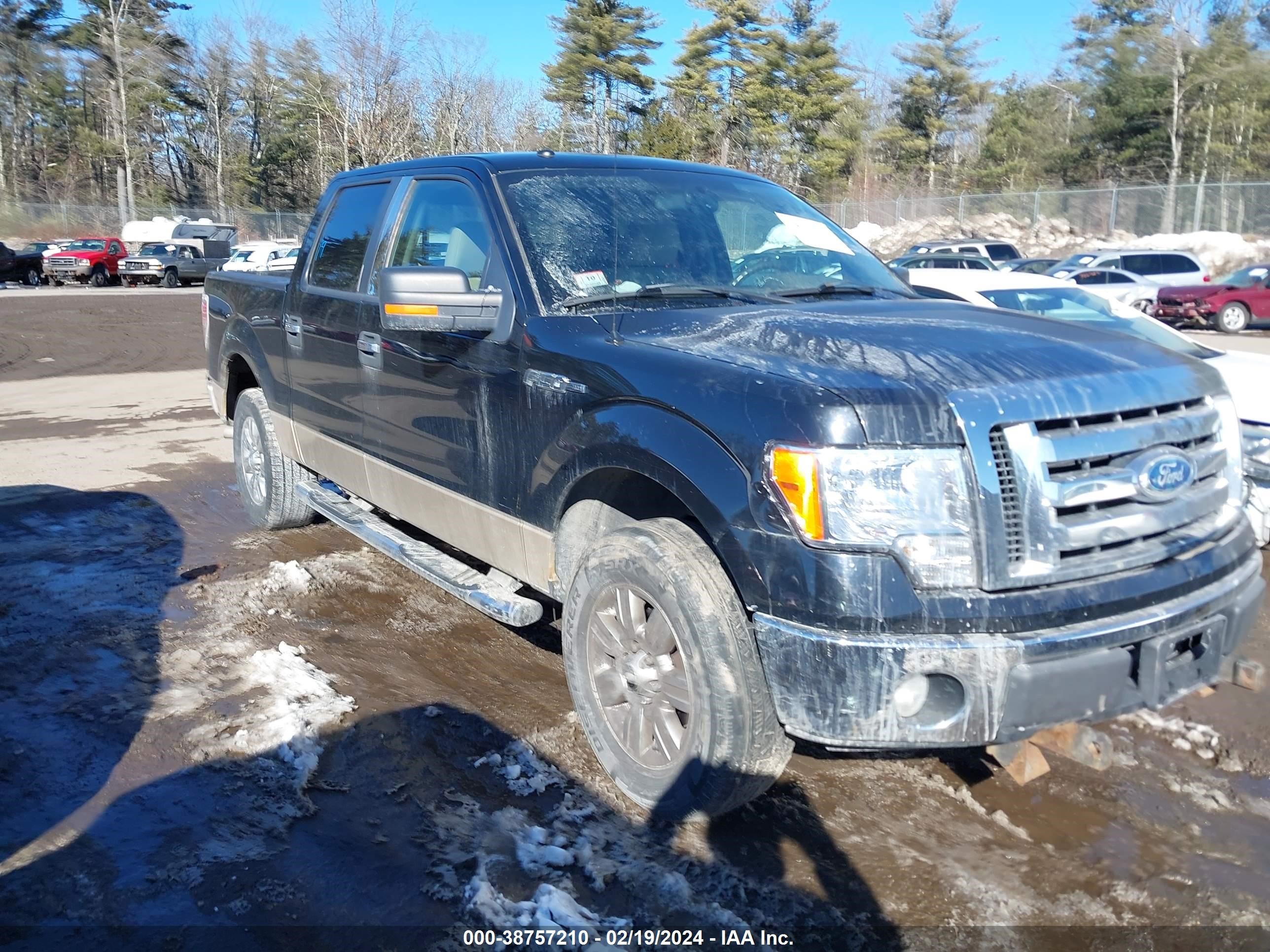 FORD F-150 2009 1ftrw14879fa33356