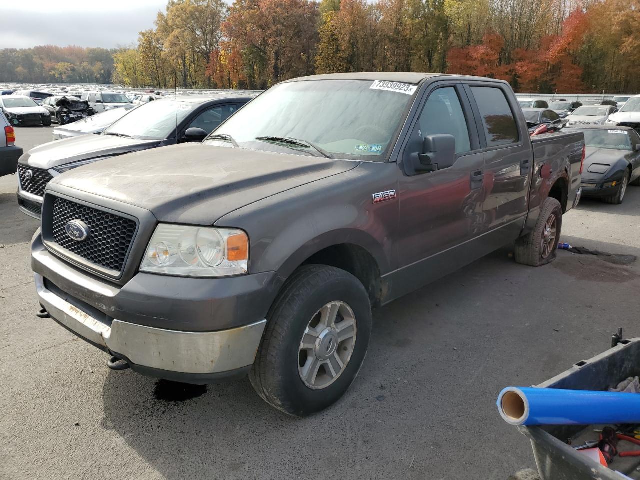 FORD F-150 2005 1ftrw14w85fb07117