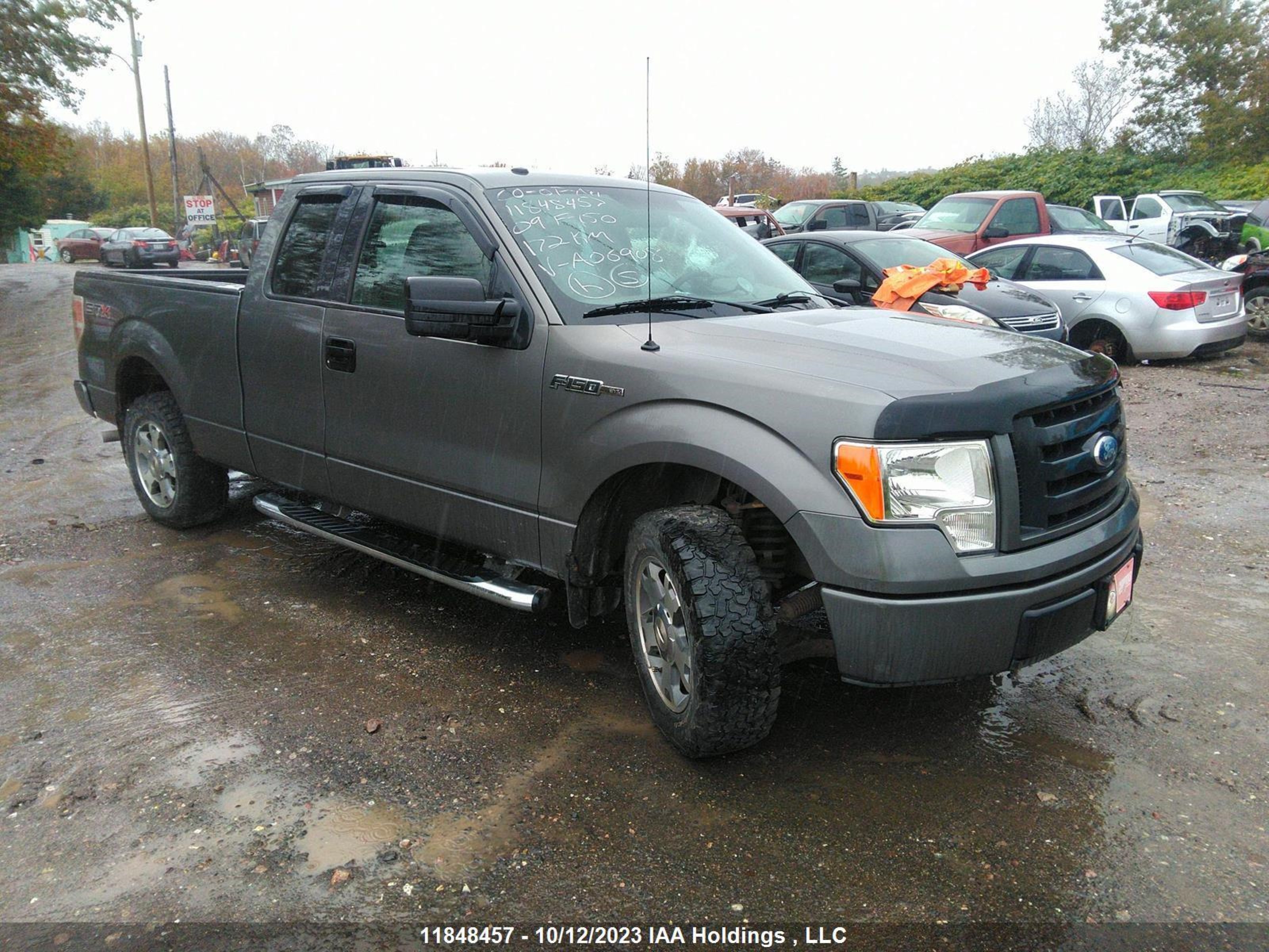 FORD F-150 2009 1ftrx12869fa06908