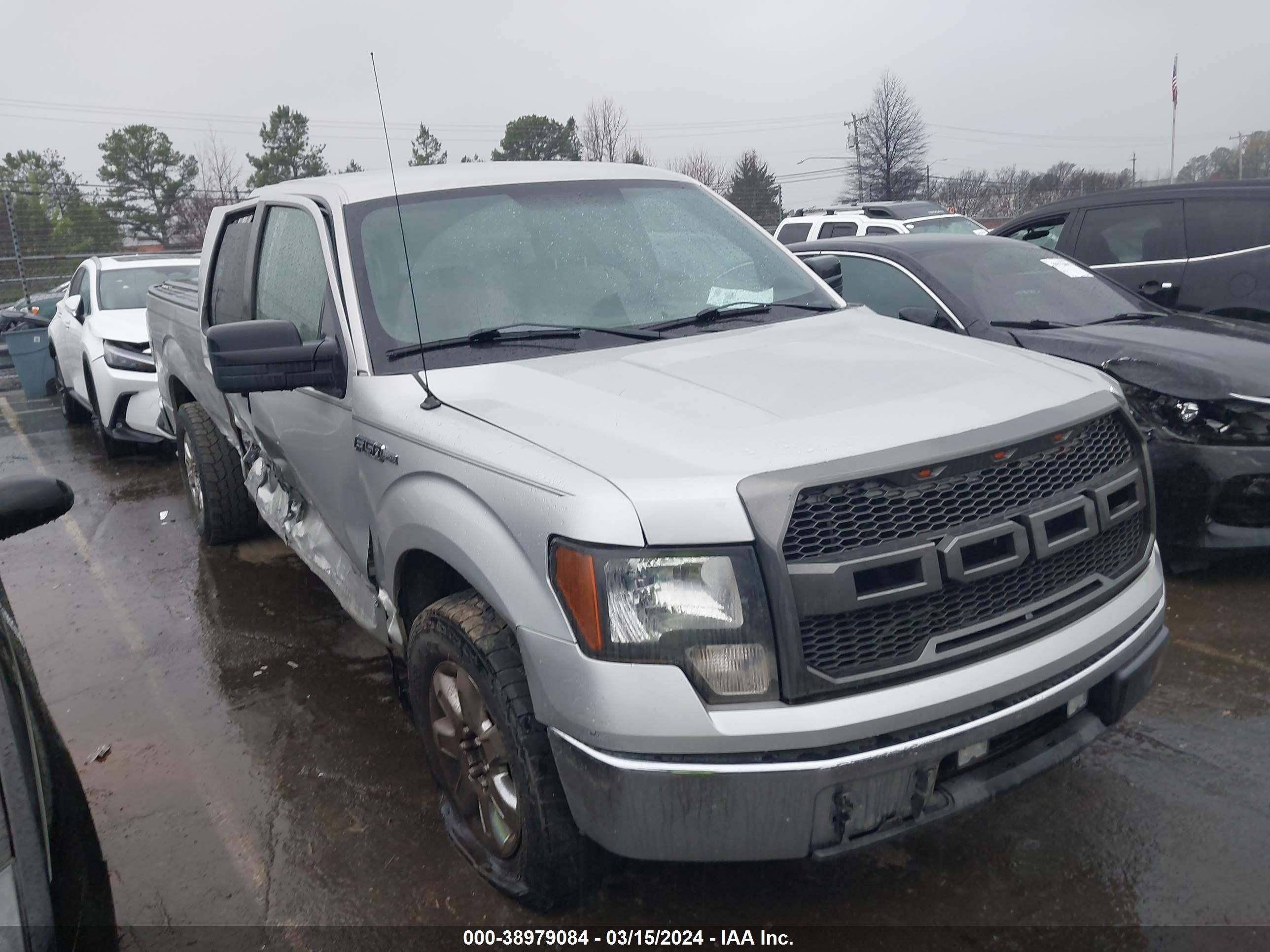 FORD F-150 2009 1ftrx12869ka73256