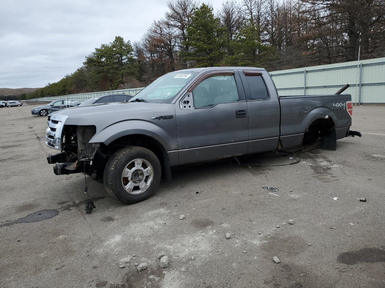 FORD F-150 2009 1ftrx14859fb44050