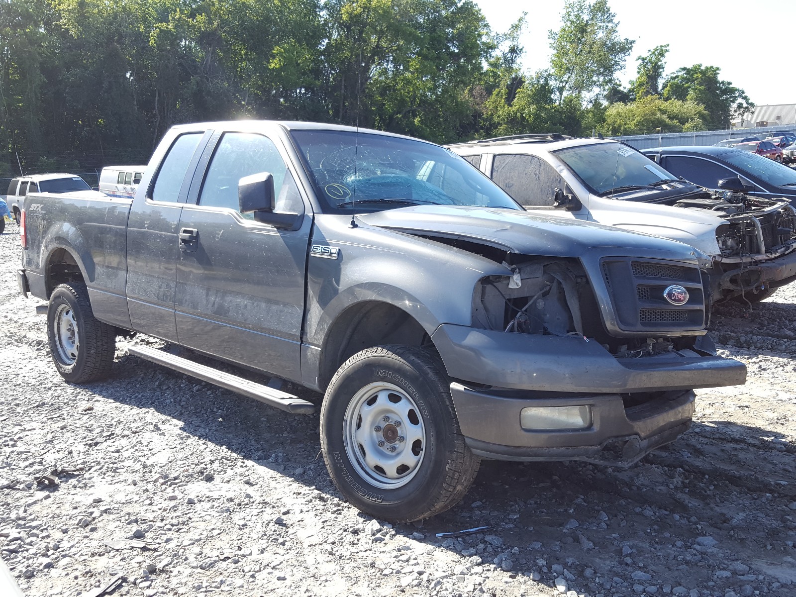 FORD F150 2004 1ftrx14w64nb52770