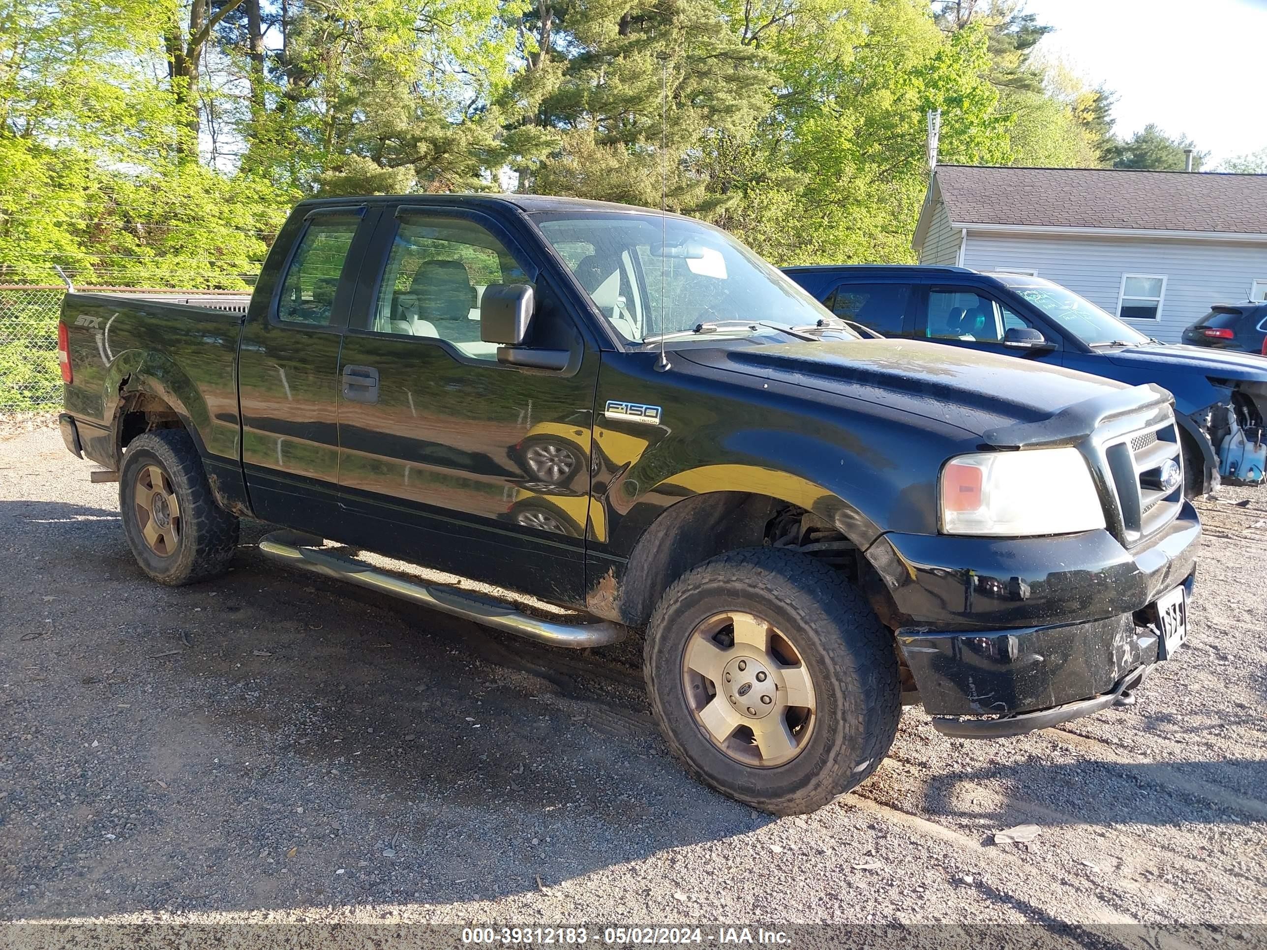 FORD F-150 2006 1ftrx14w86fb38513