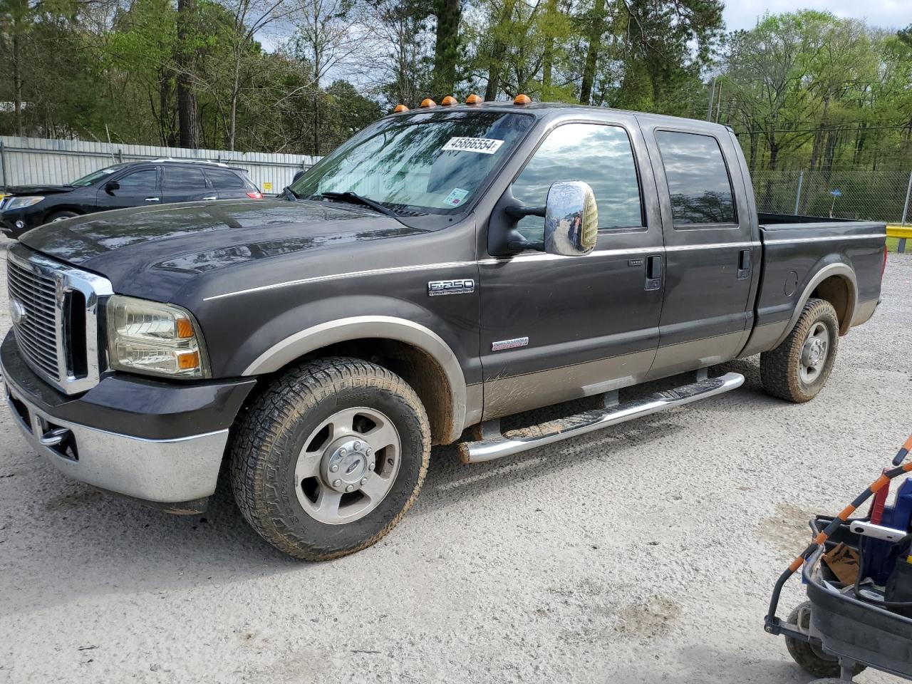 FORD F250 2006 1ftsw20p46ed59752