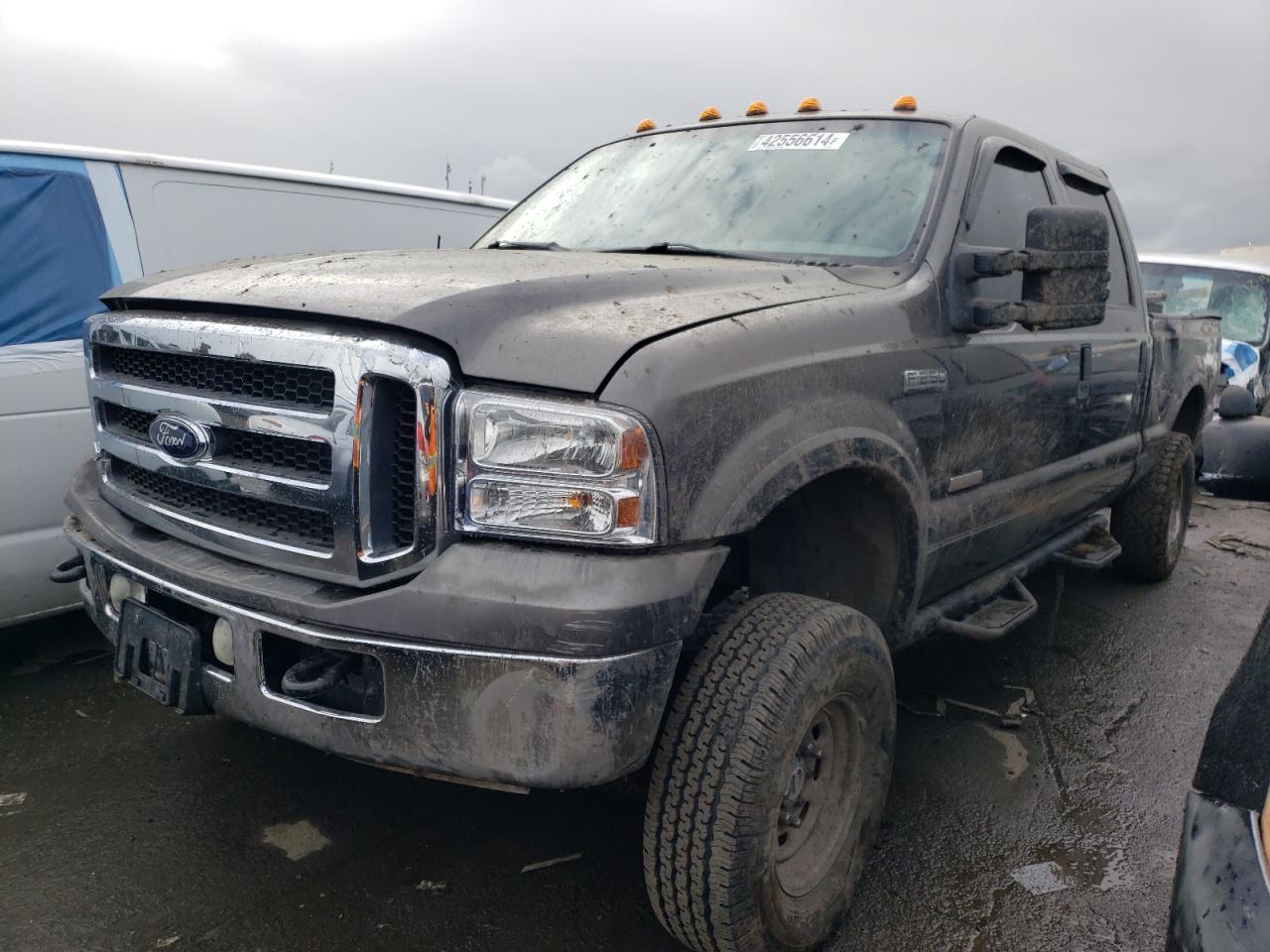 FORD F250 2006 1ftsw21p46eb24203