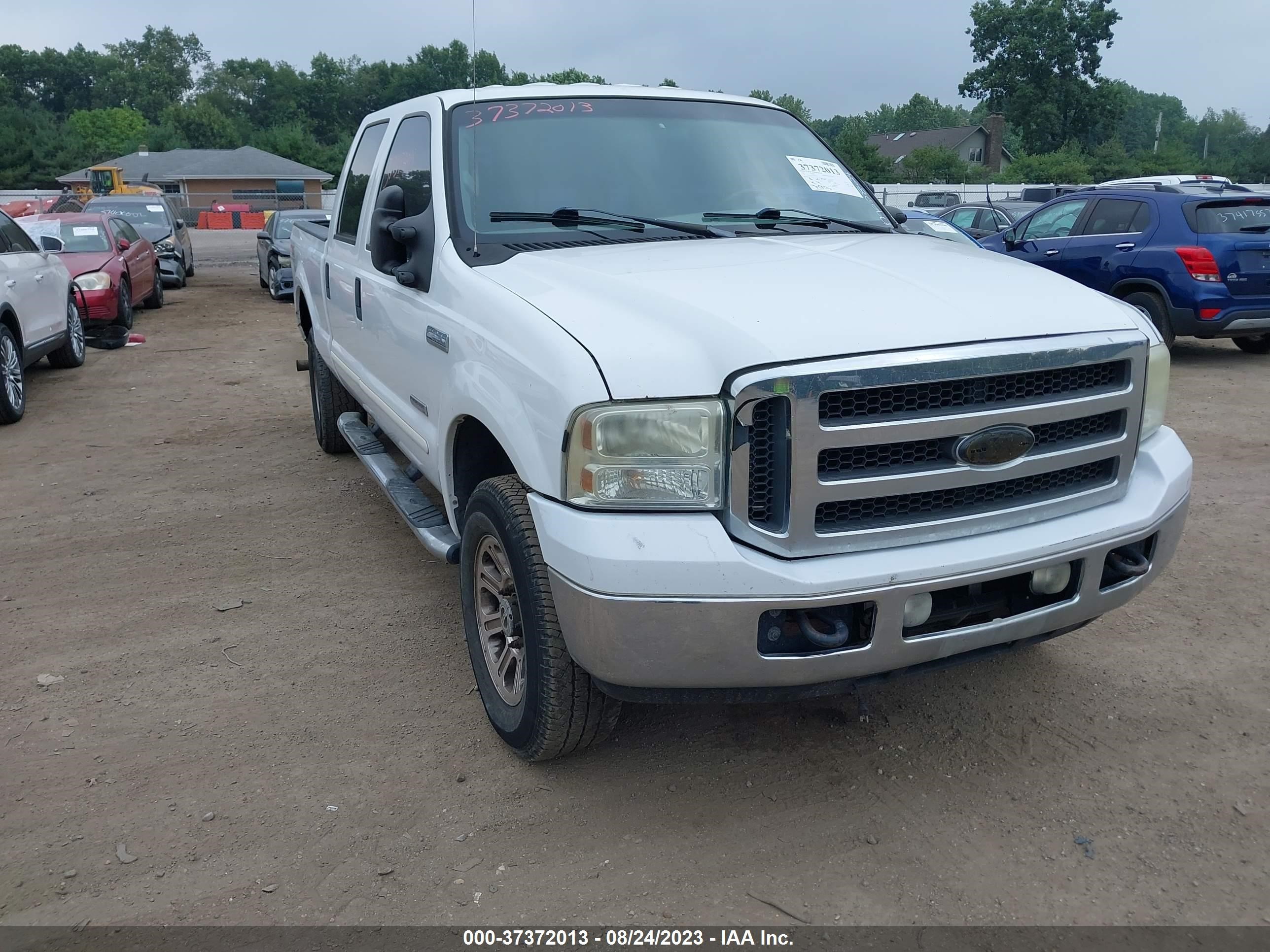 FORD F250 2005 1ftsw21p55ea54595