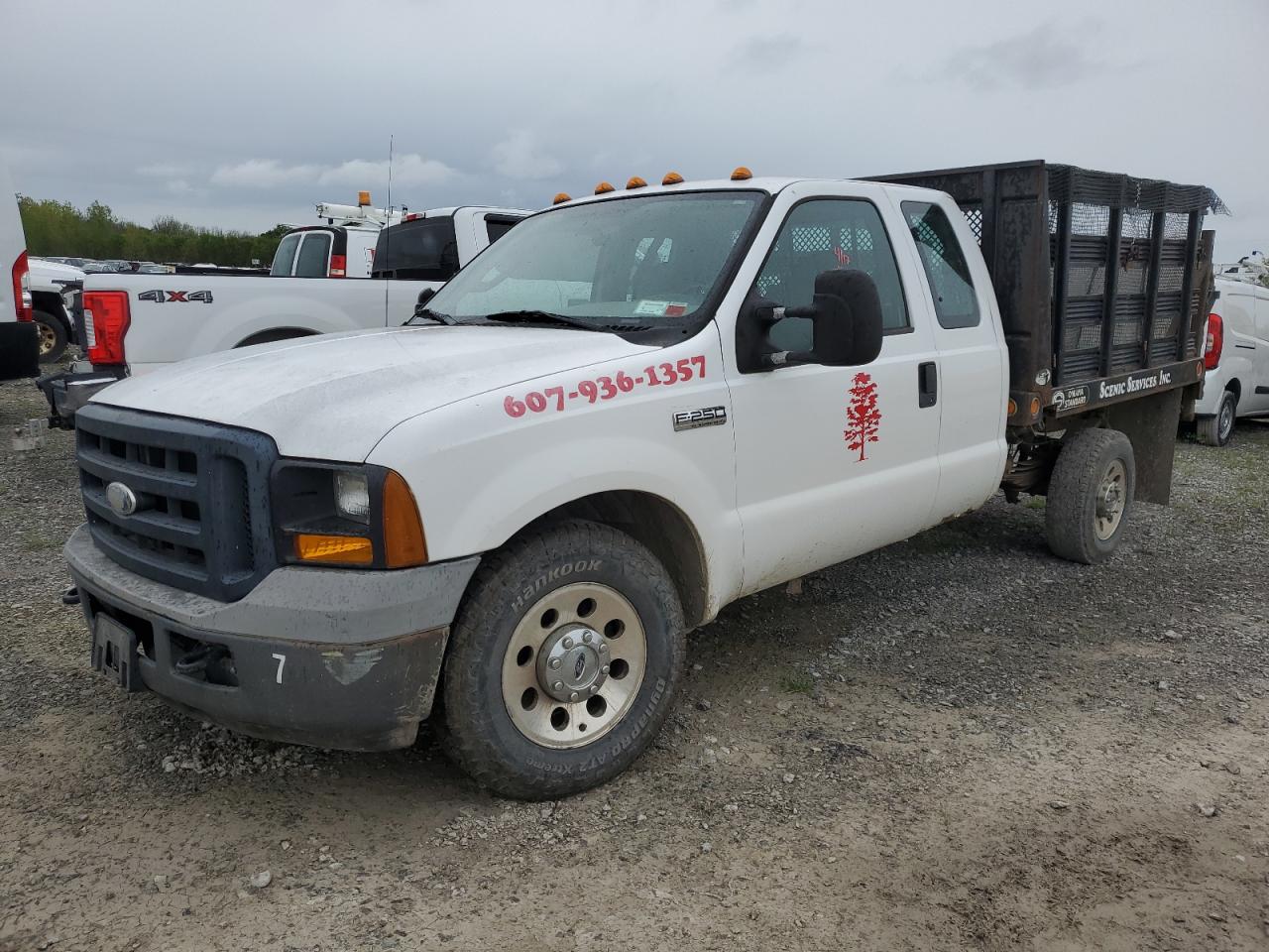 FORD F250 2006 1ftsx20506ea93335