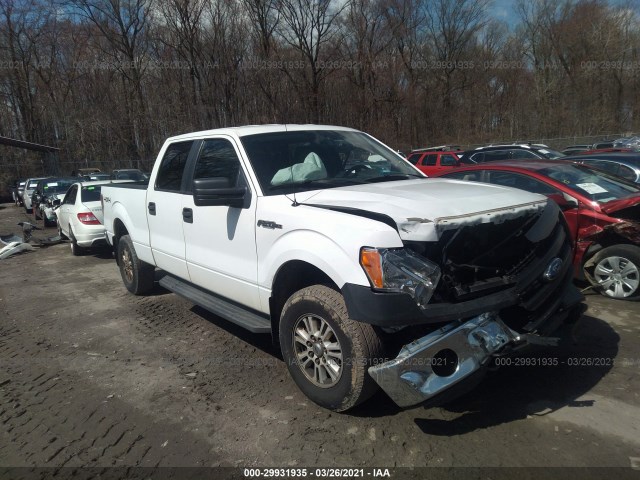 FORD F-150 2013 1ftvw1efxdkd18709