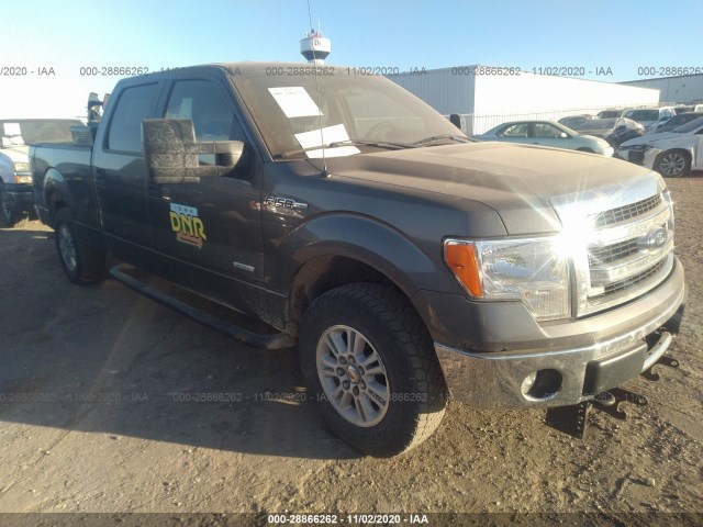 FORD F-150 2013 1ftvw1et0dkf27480