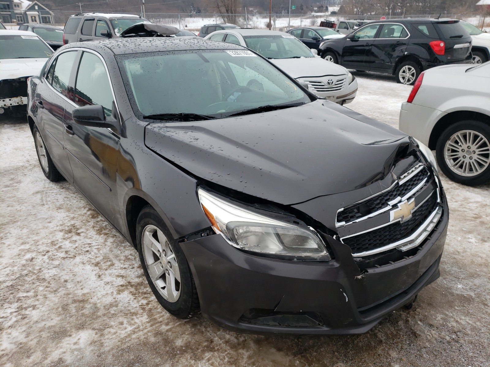 CHEVROLET MALIBU LS 2013 1g11a5sa6df314669