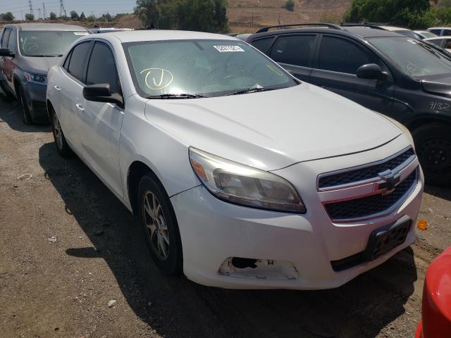 CHEVROLET MALIBU LS 2013 1g11a5sa6df331522