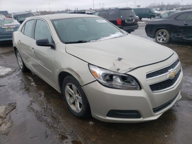 CHEVROLET MALIBU LS 2013 1g11b5sa0df142894