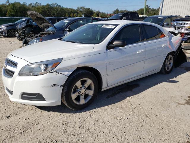 CHEVROLET MALIBU LS 2013 1g11b5sa0df144077