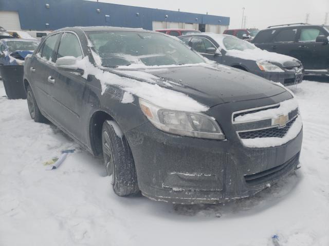 CHEVROLET MALIBU LS 2013 1g11b5sa2df142556