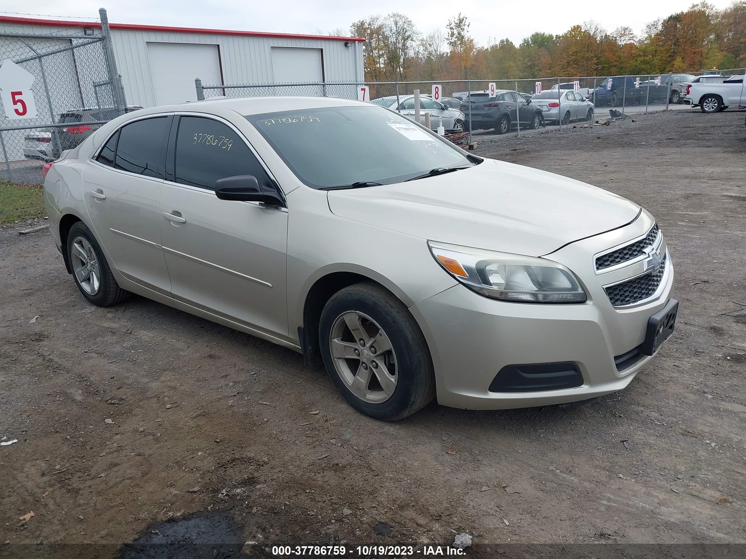 CHEVROLET MALIBU 2013 1g11b5sa4df339227