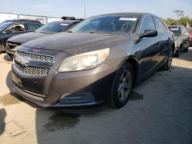 CHEVROLET MALIBU LS 2013 1g11b5sa8df252141