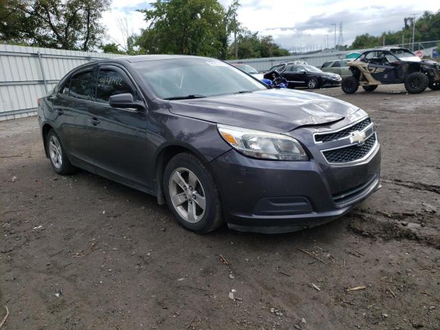 CHEVROLET MALIBU LS 2013 1g11b5sa9df221769