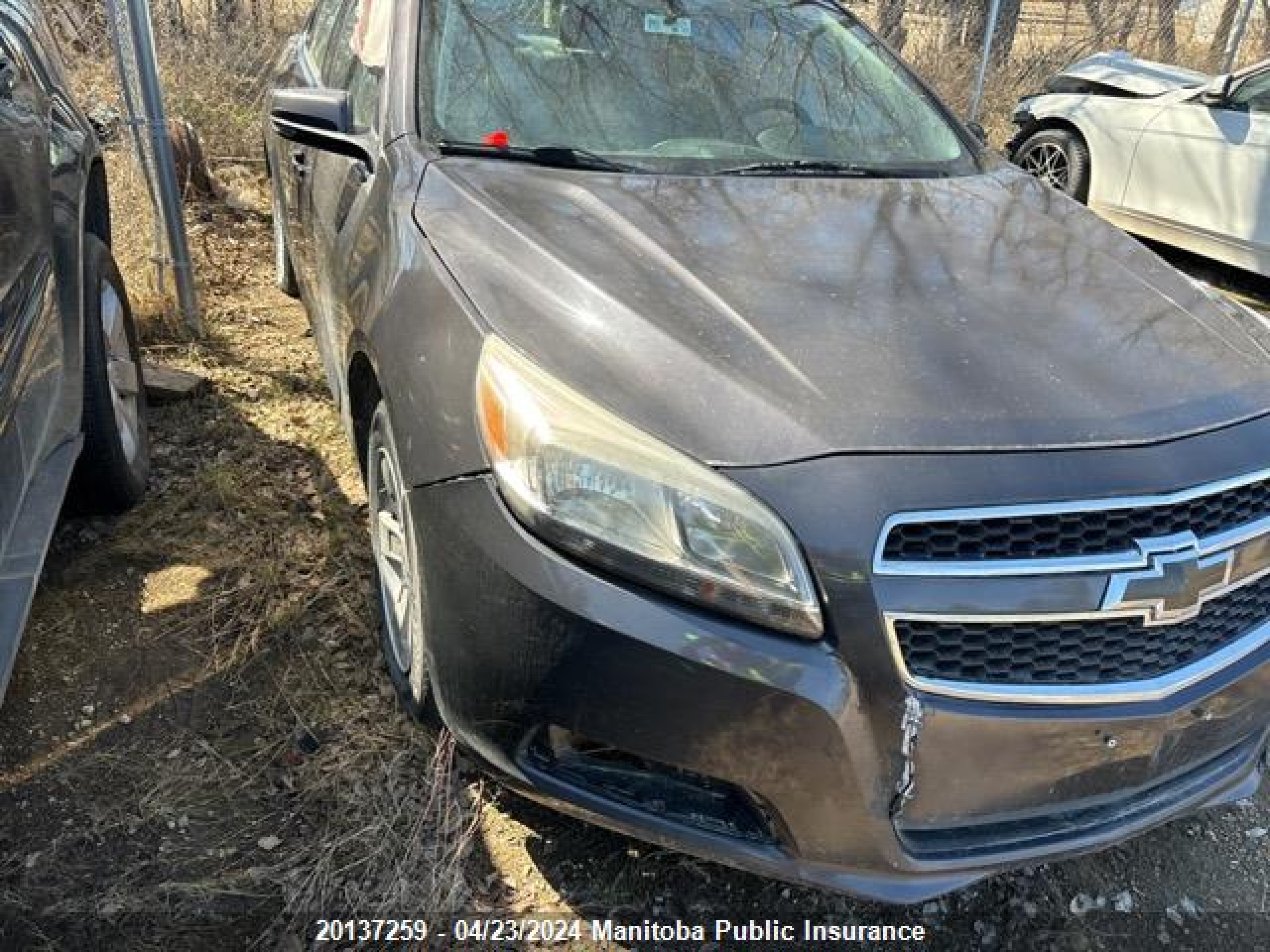 CHEVROLET MALIBU 2013 1g11b5saxdf125794