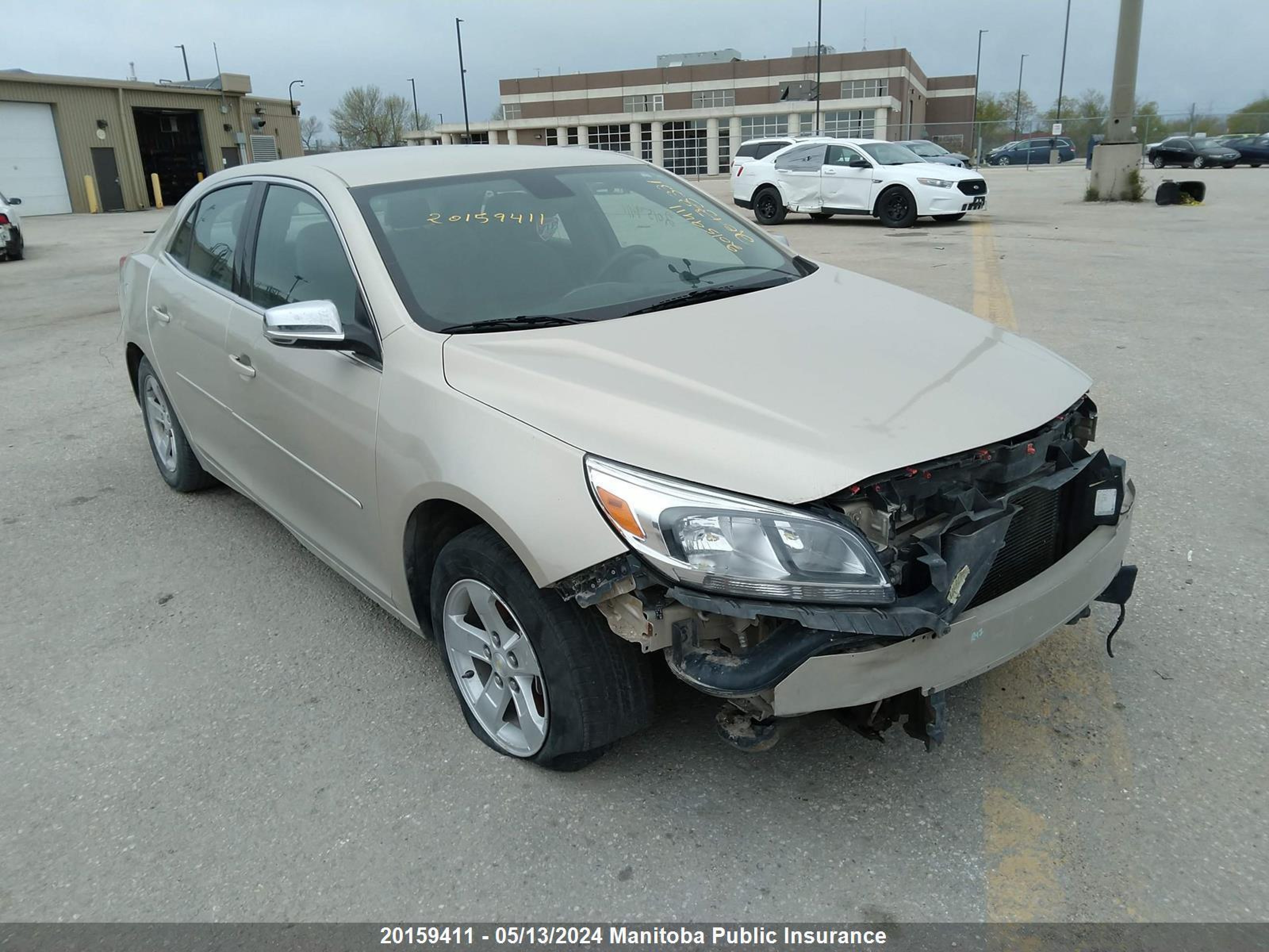 CHEVROLET MALIBU 2016 1g11b5saxgf150361