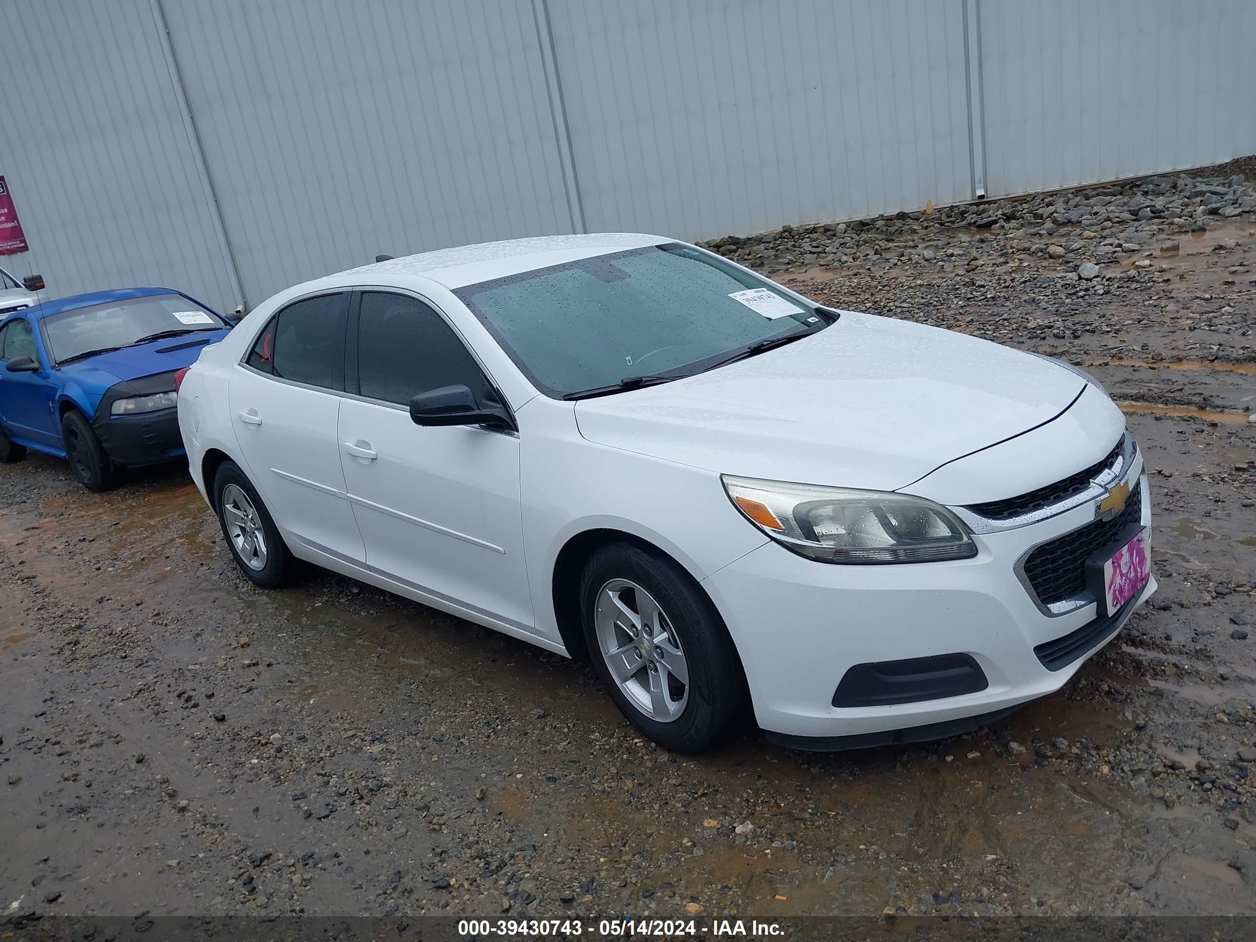 CHEVROLET MALIBU 2015 1g11b5sl0ff116445