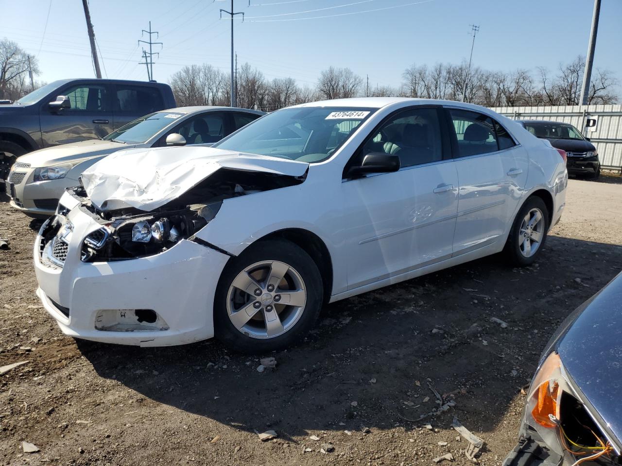 CHEVROLET MALIBU 2014 1g11b5sl5ef245425