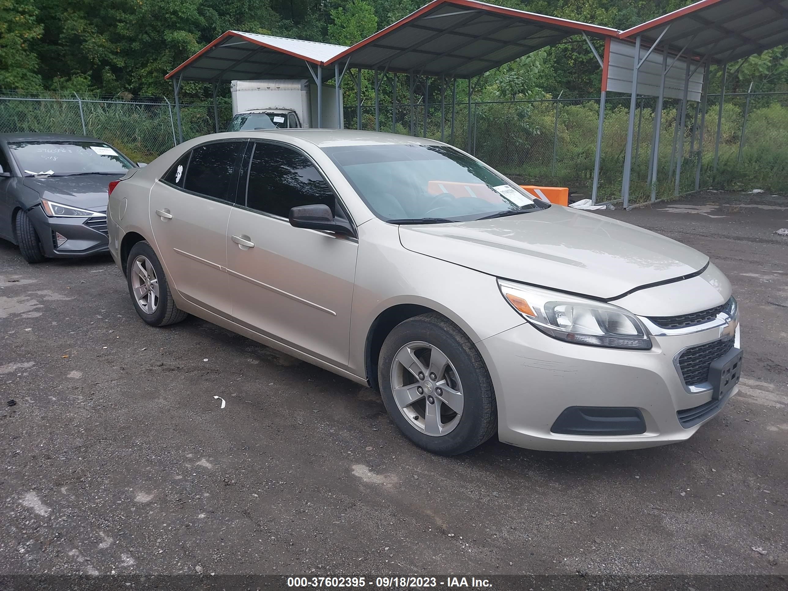 CHEVROLET MALIBU 2015 1g11b5sl5ff137145