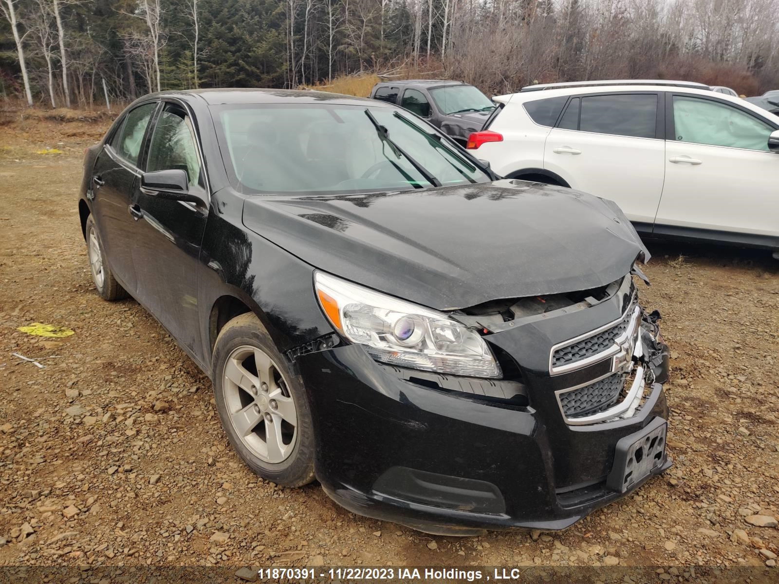 CHEVROLET MALIBU 2013 1g11c5sa1du145313