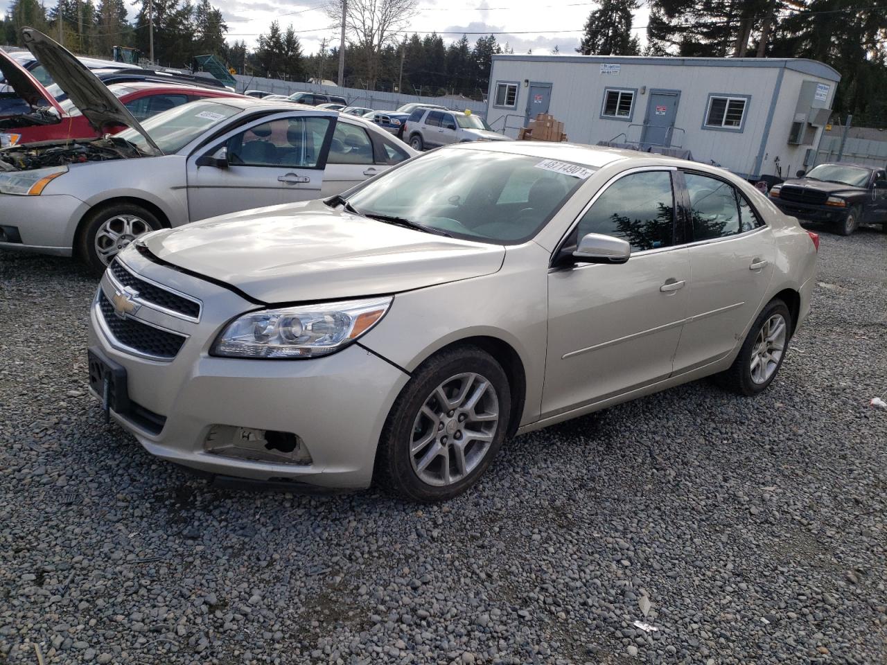 CHEVROLET MALIBU 2013 1g11c5sa5df351240