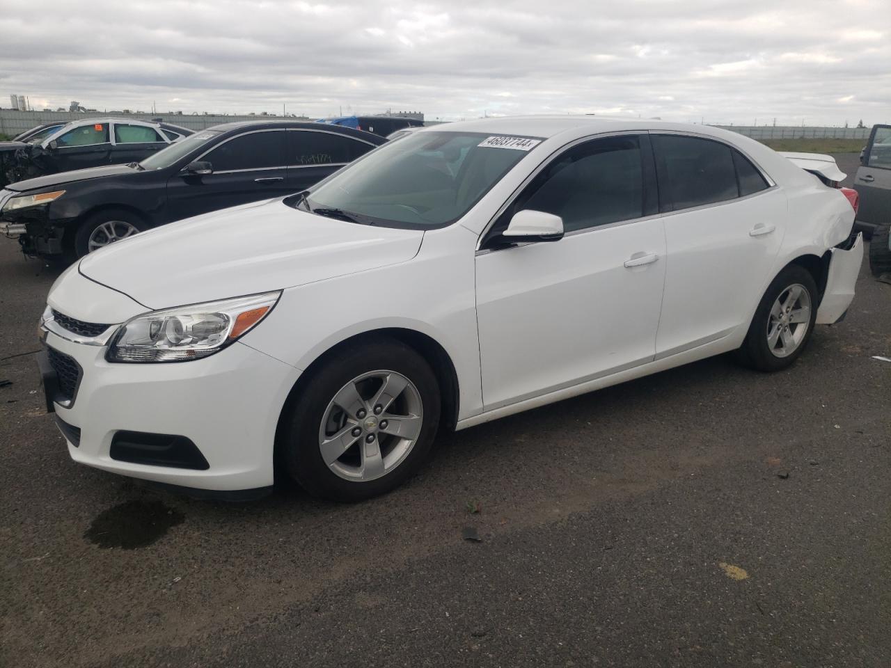 CHEVROLET MALIBU 2014 1g11c5sl7ef182454