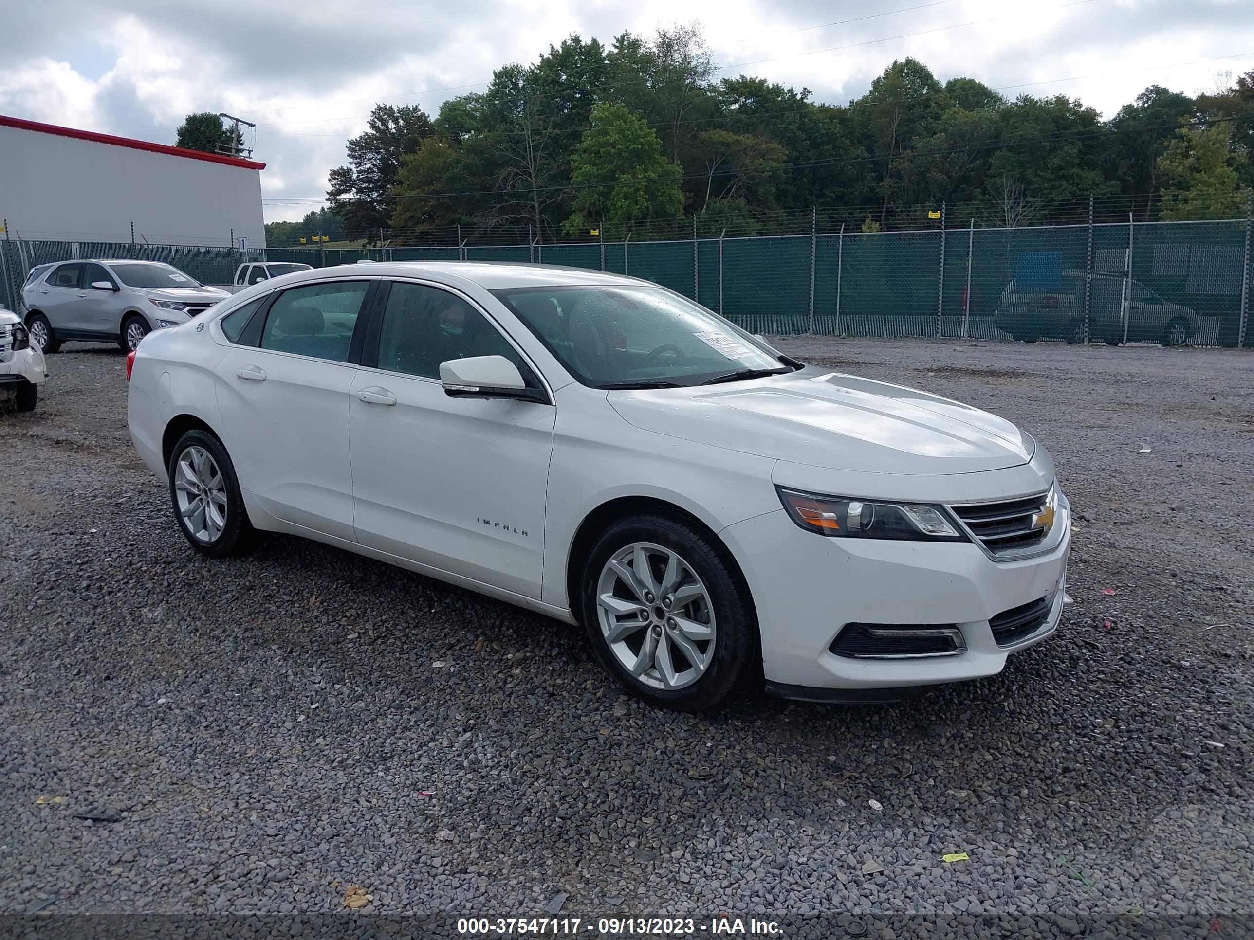 CHEVROLET IMPALA 2019 1g11z5s30ku102711