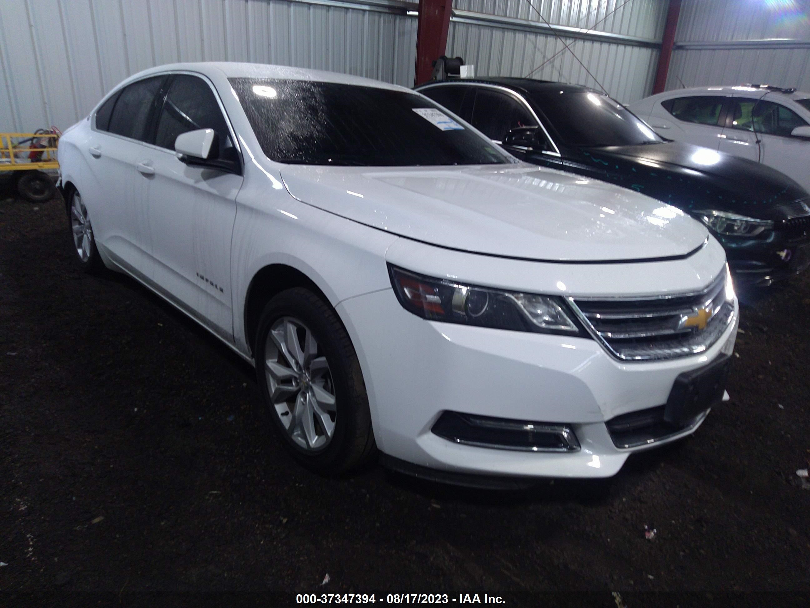 CHEVROLET IMPALA 2019 1g11z5s31ku111935