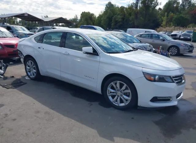 CHEVROLET IMPALA 2019 1g11z5s31ku119596