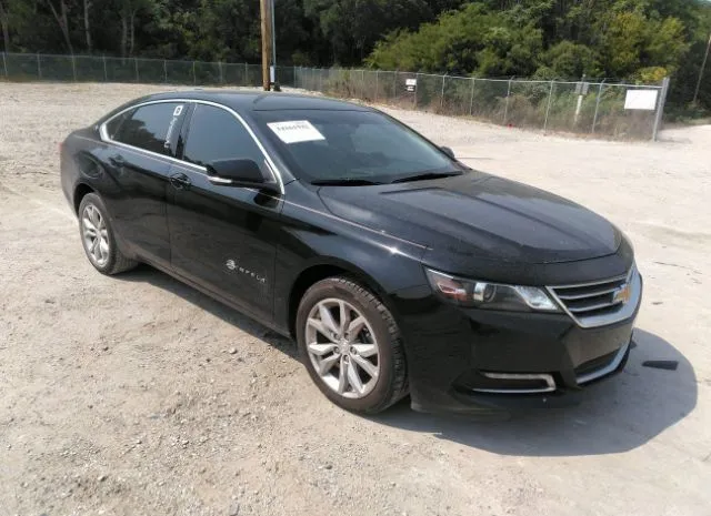 CHEVROLET IMPALA 2019 1g11z5s31ku120392