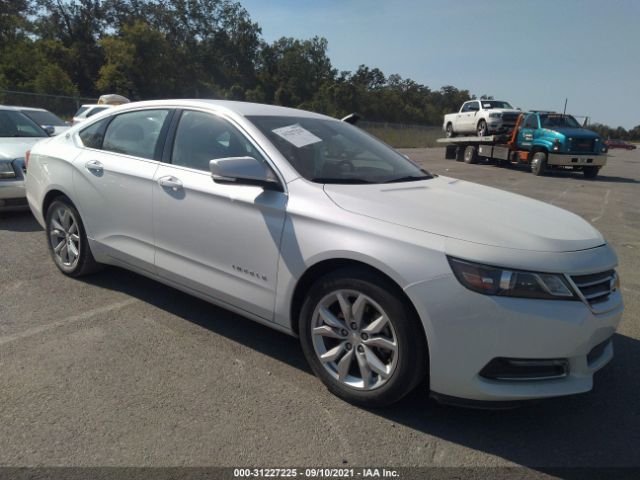 CHEVROLET IMPALA 2019 1g11z5s31ku146684