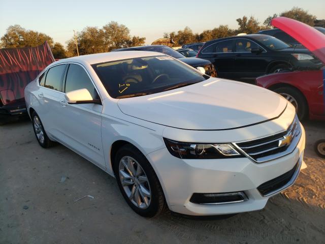 CHEVROLET IMPALA LT 2019 1g11z5s34ku118801