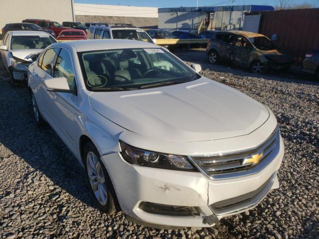 CHEVROLET IMPALA LT 2019 1g11z5s34ku146341