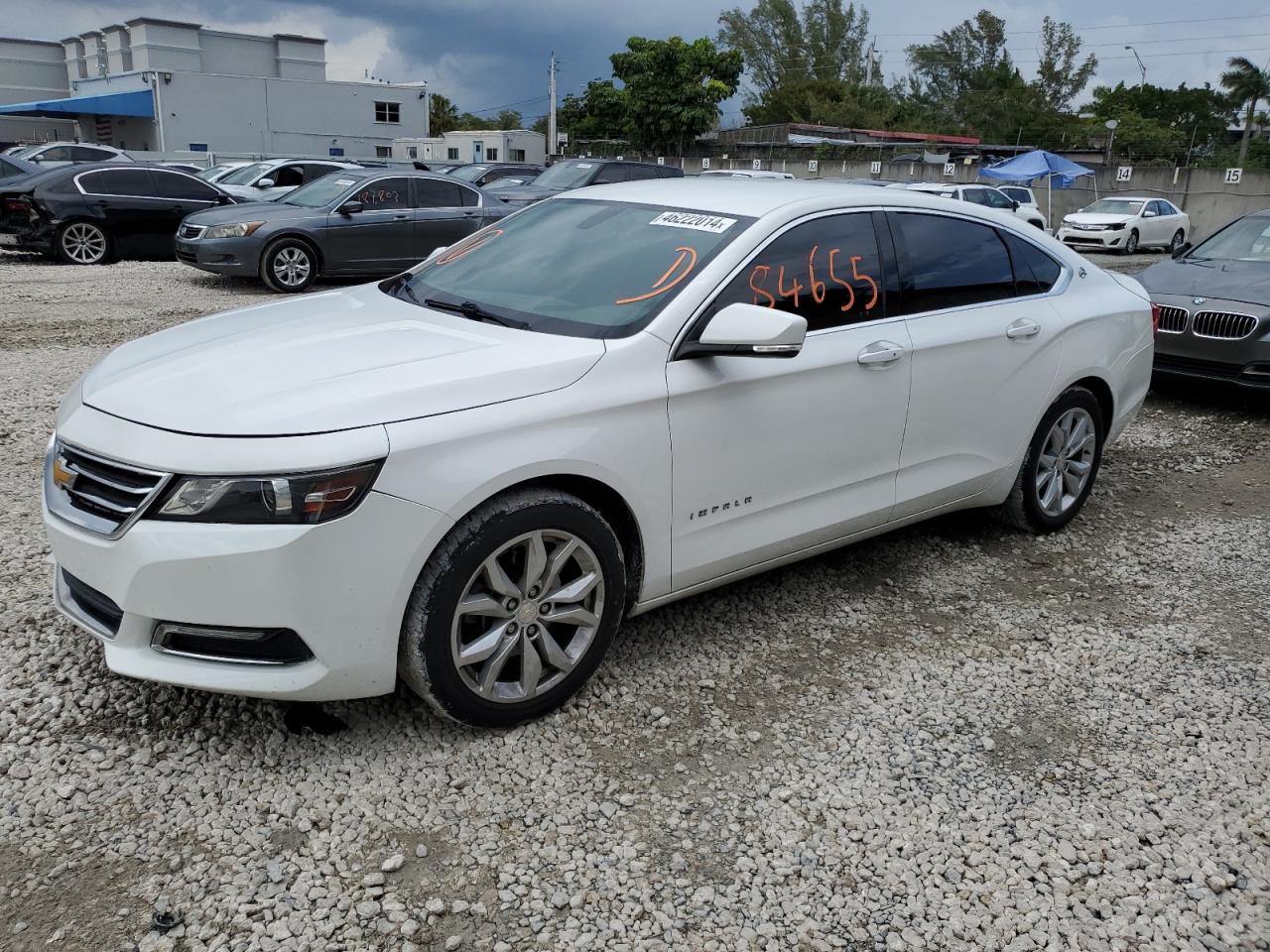 CHEVROLET IMPALA 2019 1g11z5s35ku118709