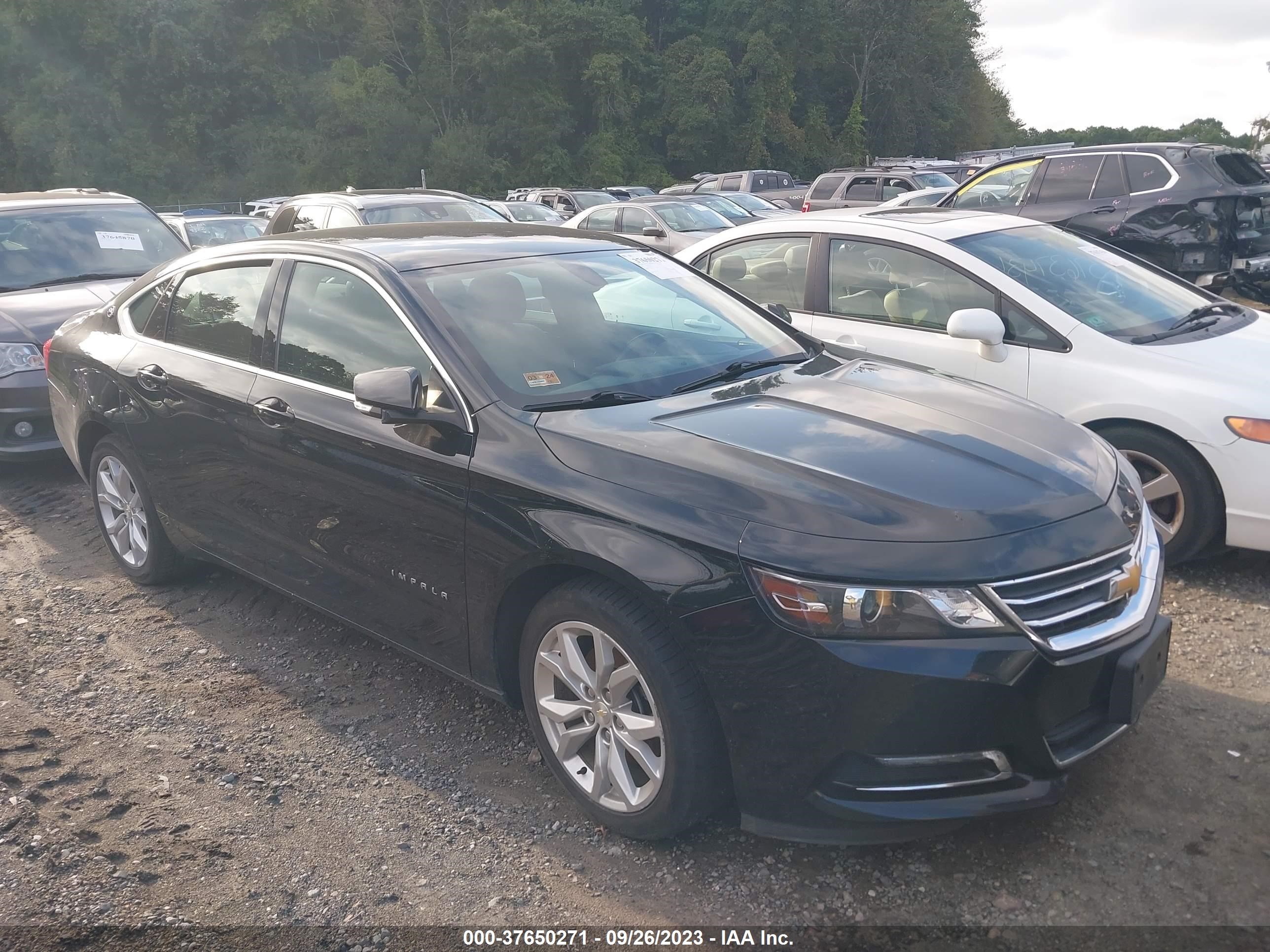 CHEVROLET IMPALA 2019 1g11z5s38ku113519