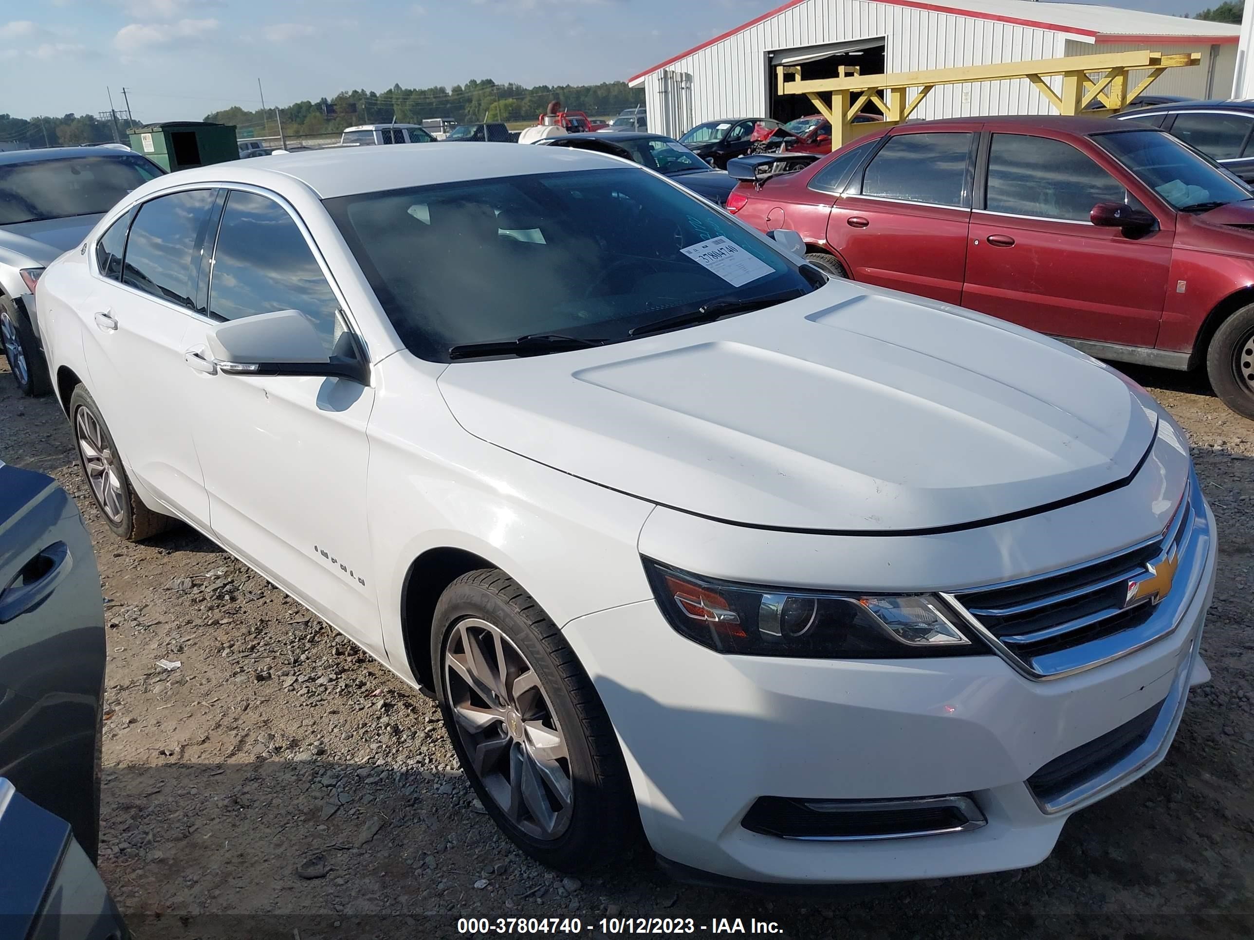 CHEVROLET IMPALA 2019 1g11z5s3xku107950