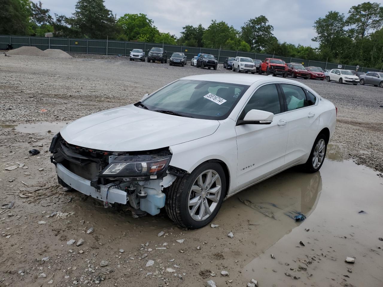 CHEVROLET IMPALA 2019 1g11z5sa4ku138397