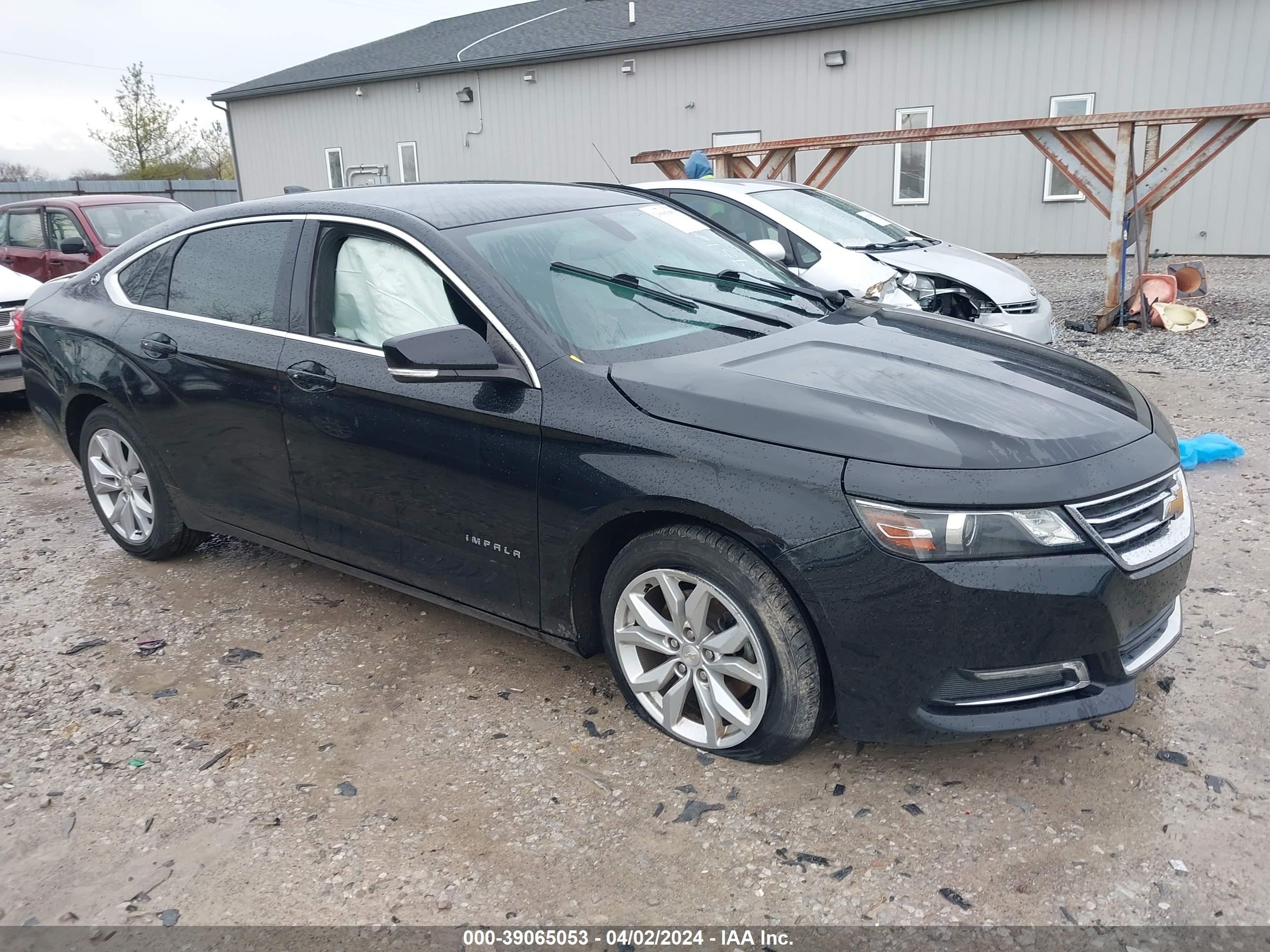 CHEVROLET IMPALA 2019 1g11z5sa5ku139512