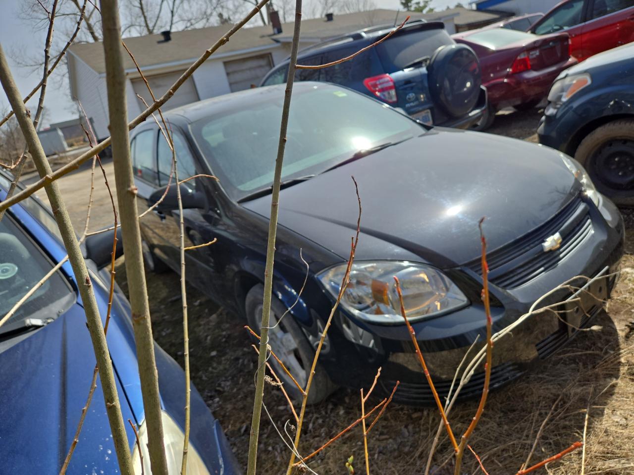 CHEVROLET COBALT 2010 1g1ac5f59a7176140