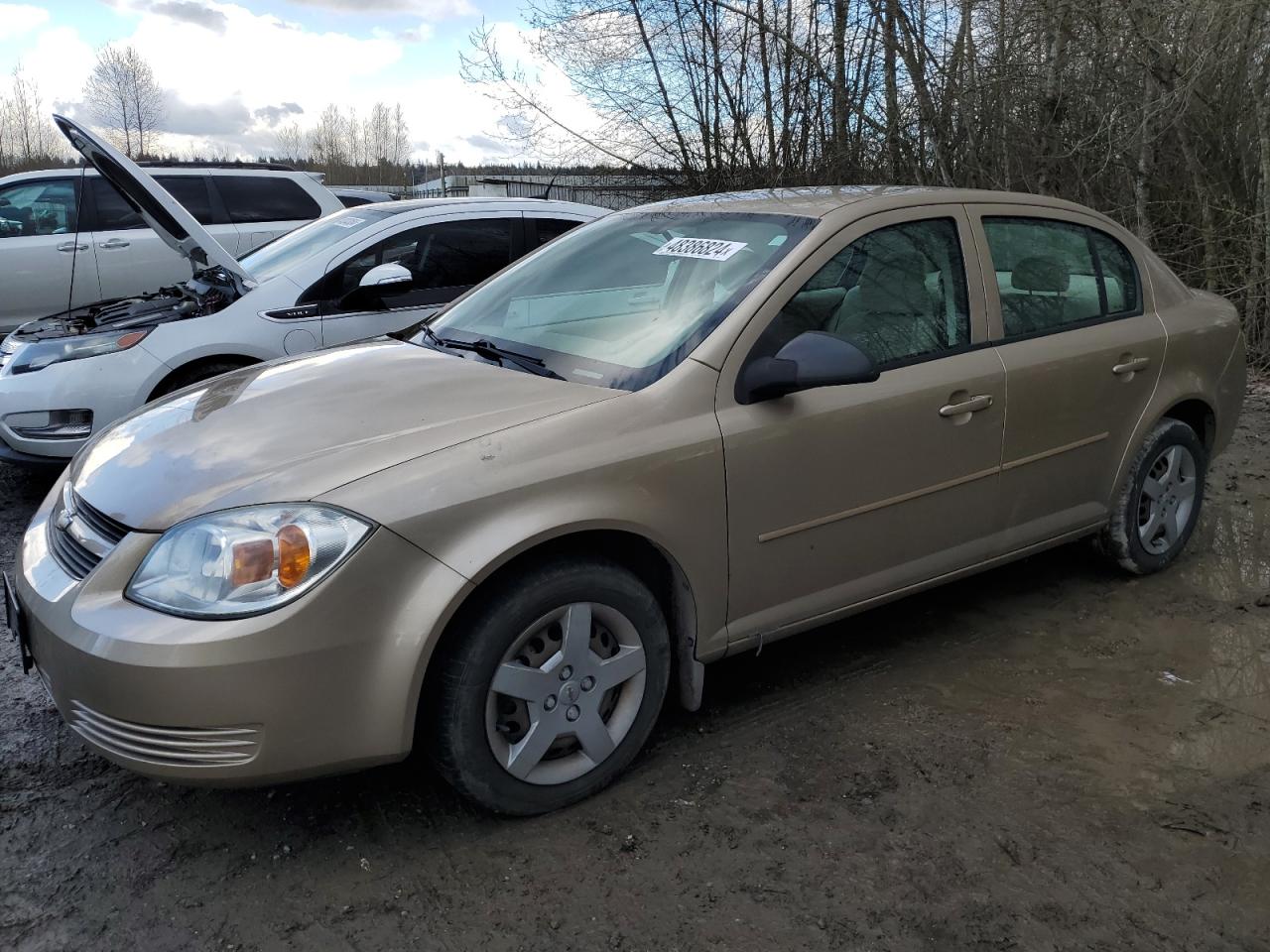 CHEVROLET COBALT 2005 1g1ak54fx57671550