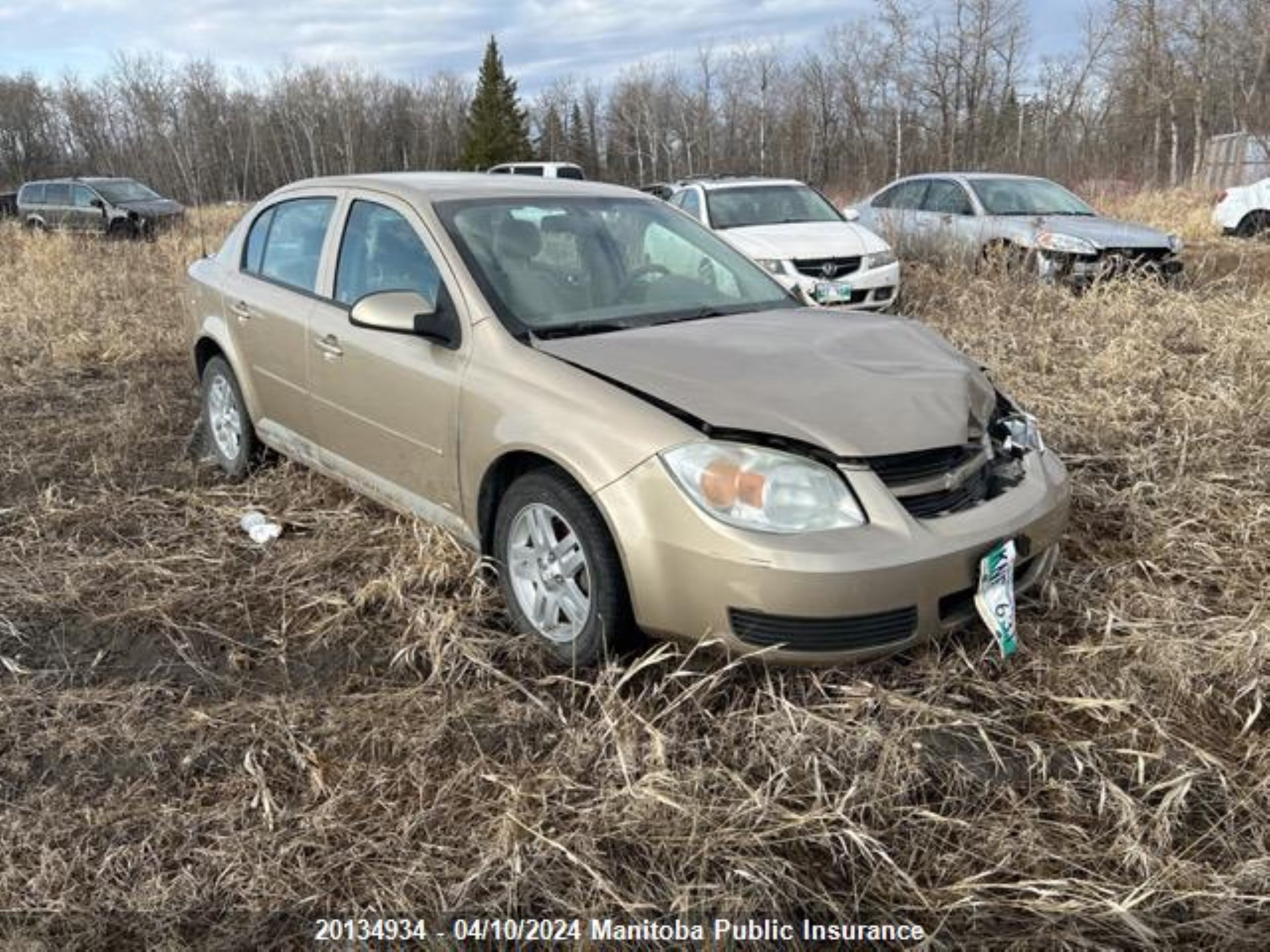 CHEVROLET COBALT 2006 1g1al55f567656998