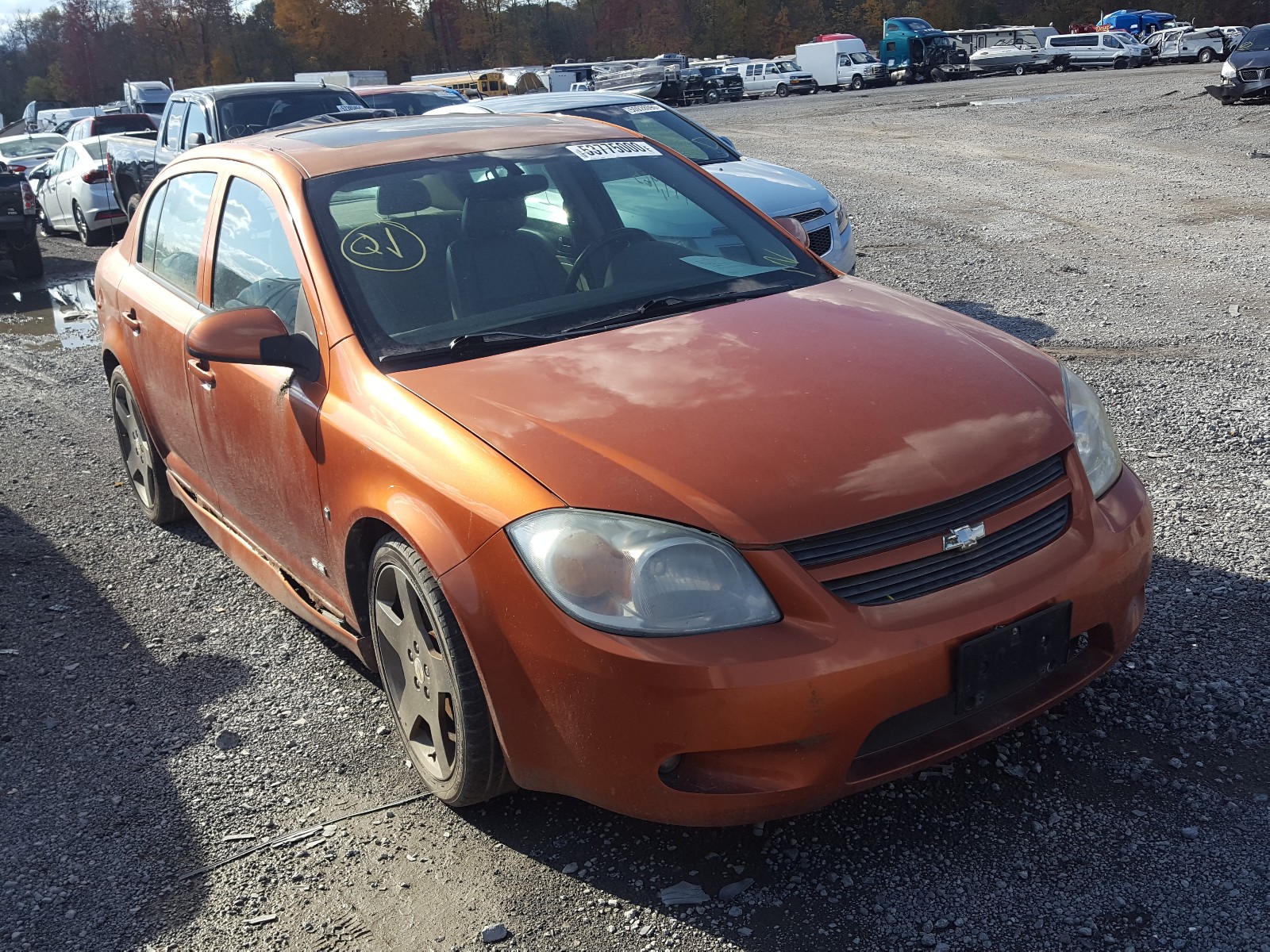 CHEVROLET COBALT SS 2006 1g1am55b167695307