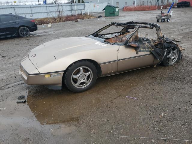 CHEVROLET CORVETTE 1984 1g1ay0781e5116920