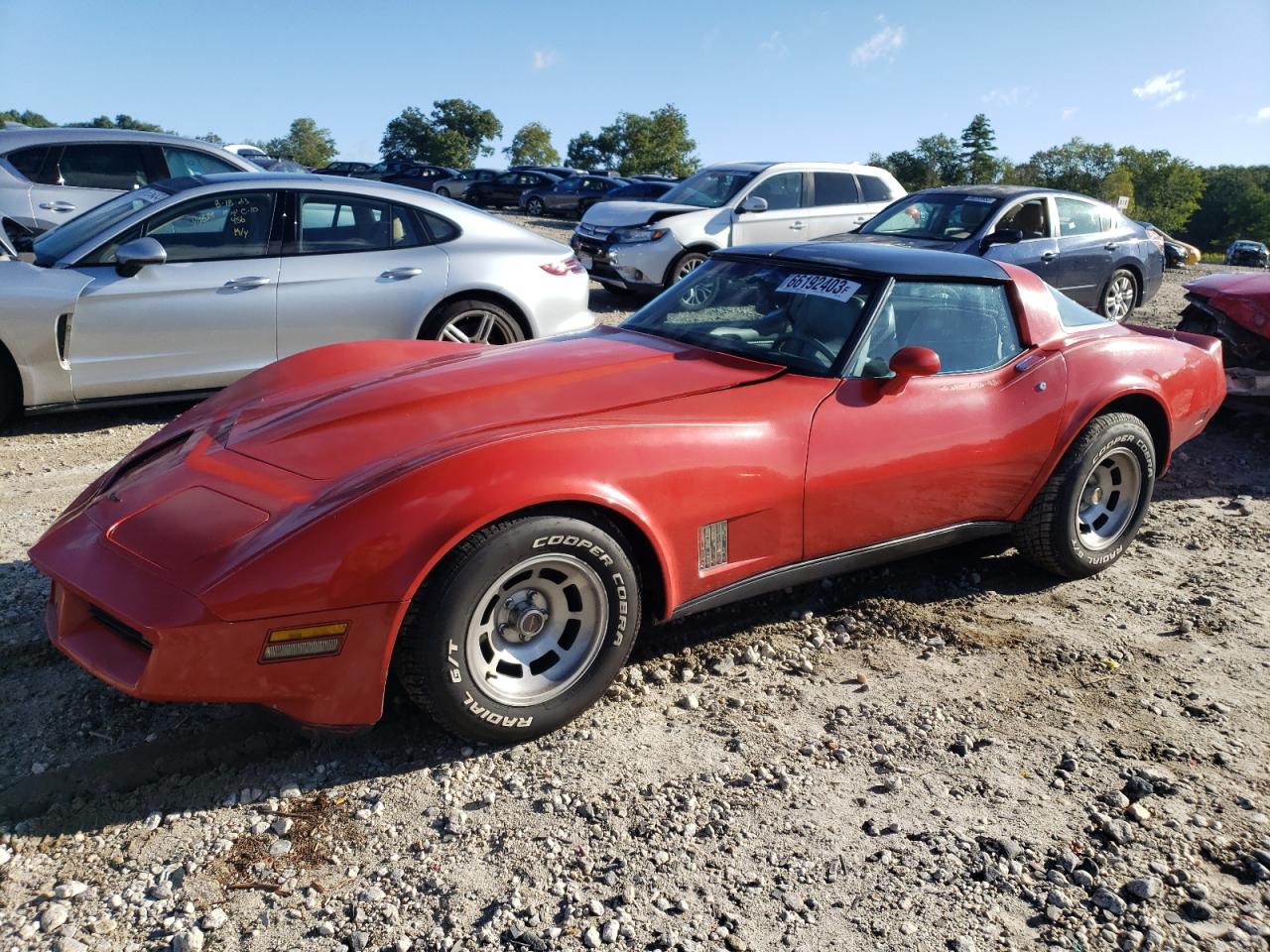 CHEVROLET CORVETTE 1981 1g1ay8767bs429769