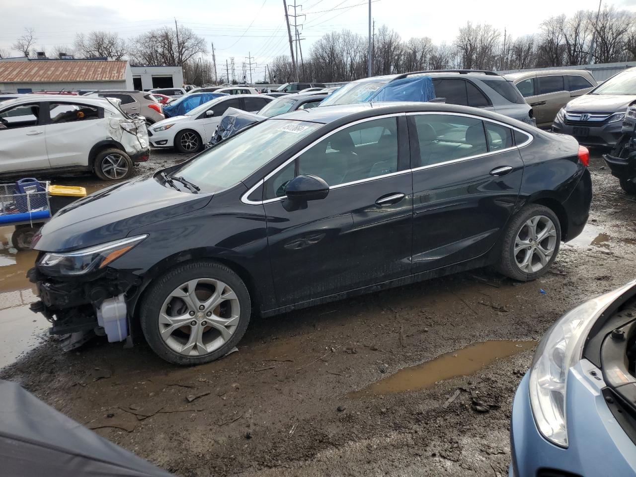 CHEVROLET CRUZE 2017 1g1bf5sm9h7152889